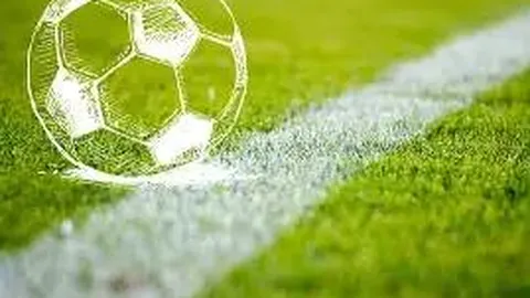 体育“青春活力”助力“党群共融”实践