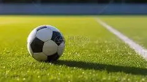 B体育 资讯 122142 25v